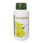 perlas aceite de onagra 250 p colestagra