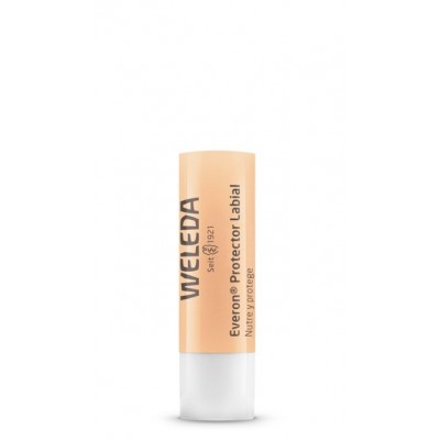 protector labial everon 48gr