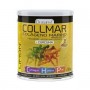 collmar magnesio curcuma limon 300gr drasanvi