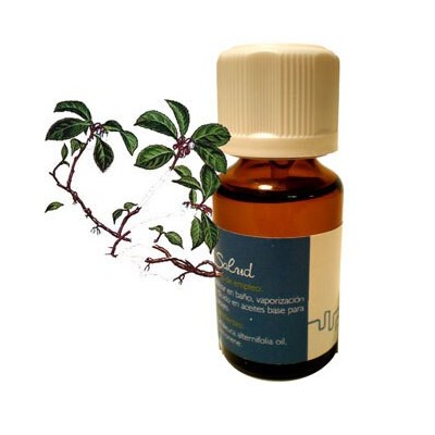 aceite esencial wintergreen 