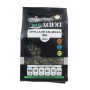 semilla calabaza 250gr bio ecosana