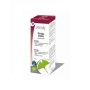 Ginkgo biloba extracto hidroalcoholico bio 100ml Physalis
