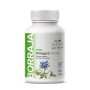 Borraja Omega 6 710mg 110 perlas Sotya