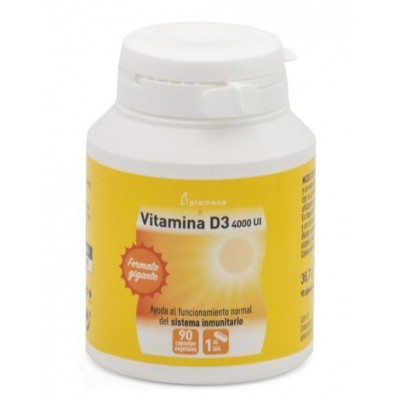 vitamina d 4000ui 90 caps