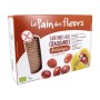 Cracker de castaña sin gluten Bio 300g Le Pain des Fleurs