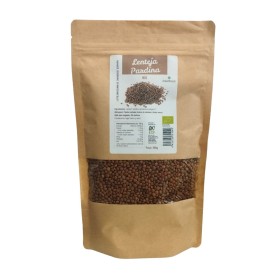Lentejas pardina Bio 500g Dream Foods